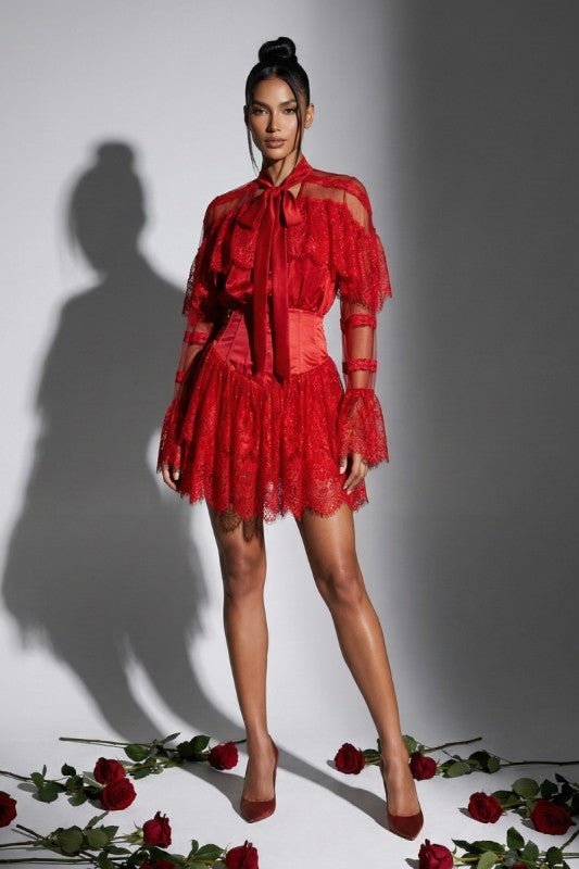 Scarlet Allure Lace Mini Dress - She Rare Boutique
