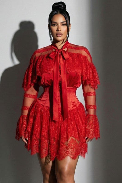 Scarlet Allure Lace Mini Dress - She Rare Boutique